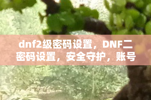dnf2级密码设置，DNF二密码设置，安全守护，账号无忧