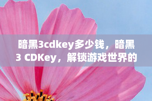 暗黑3cdkey多少钱，暗黑3 CDKey，解锁游戏世界的神秘钥匙
