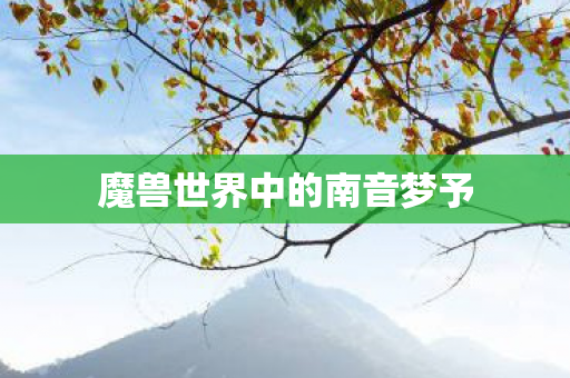 魔兽世界中的南音梦予