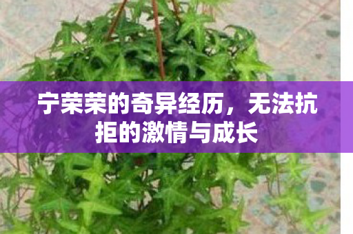 宁荣荣的奇异经历，无法抗拒的激情与成长