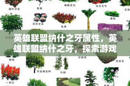 英雄联盟纳什之牙属性，英雄联盟纳什之牙，探索游戏中的神秘传说