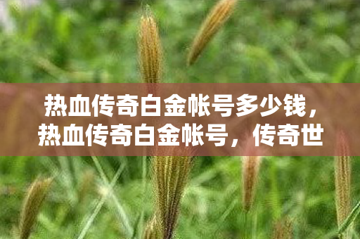 热血传奇白金帐号多少钱，热血传奇白金帐号，传奇世界的钥匙