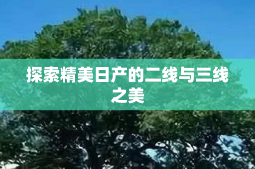 探索精美日产的二线与三线之美