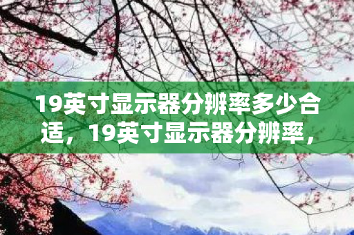 19英寸显示器分辨率多少合适，19英寸显示器分辨率，解析与选择指南