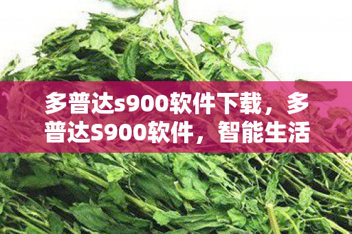 多普达s900软件下载，多普达S900软件，智能生活，从指尖开始