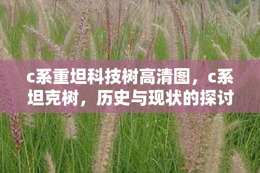 c系重坦科技树高清图，c系坦克树，历史与现状的探讨