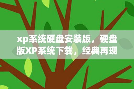 xp系统硬盘安装版，硬盘版XP系统下载，经典再现，安全高效