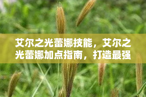 艾尔之光蕾娜技能，艾尔之光蕾娜加点指南，打造最强法师