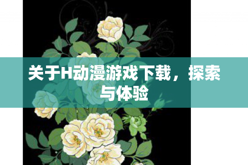 关于H动漫游戏下载,探索与体验 关于H动漫游戏下载,探索与体验