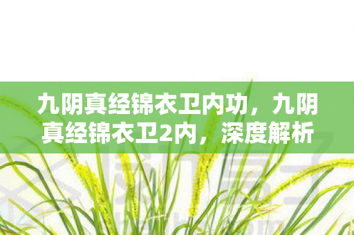 九阴真经锦衣卫内功，九阴真经锦衣卫2内，深度解析游戏内玩法与策略