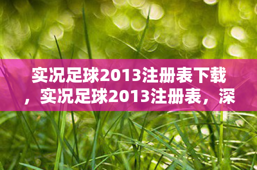 实况足球2013注册表下载，实况足球2013注册表，深度解析与实战应用