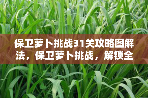 保卫萝卜挑战31关攻略图解法，保卫萝卜挑战，解锁全新关卡，挑战你的策略极限