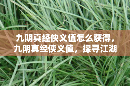 九阴真经侠义值怎么获得，九阴真经侠义值，探寻江湖中的正义与荣耀