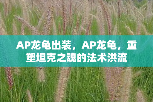 AP龙龟出装，AP龙龟，重塑坦克之魂的法术洪流