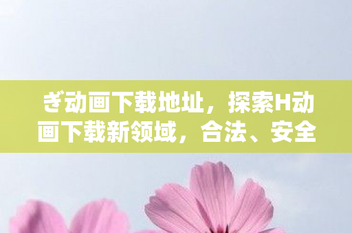 ぎ动画下载地址，探索H动画下载新领域，合法、安全、乐趣无限
