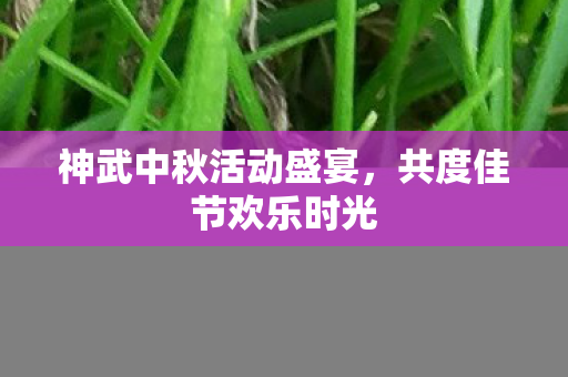 神武中秋活动盛宴,共度佳节欢乐时光 神武中秋活动盛宴,共度佳节欢乐时光