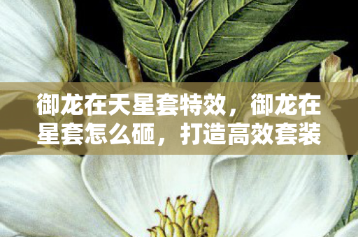 御龙在天星套特效，御龙在星套怎么砸，打造高效套装的策略与技巧