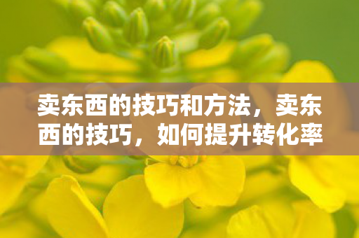 卖东西的技巧和方法，卖东西的技巧，如何提升转化率与顾客满意度
