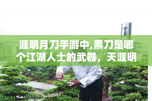 涯明月刀手游中,黑刀是哪个江湖人士的武器，天涯明月刀CDKEY，解锁江湖之旅的密钥