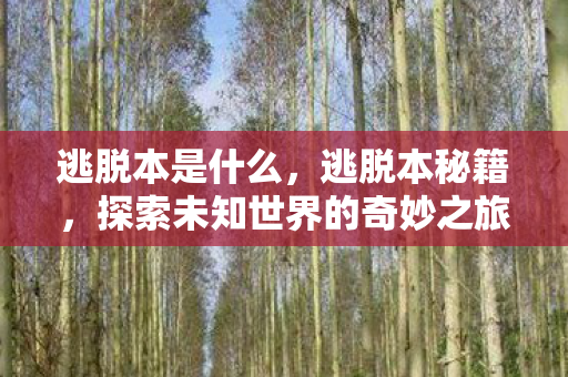 逃脱本是什么，逃脱本秘籍，探索未知世界的奇妙之旅