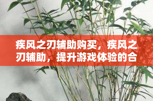 疾风之刃辅助购买，疾风之刃辅助，提升游戏体验的合法途径
