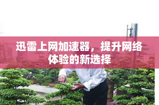 迅雷上网加速器，提升网络体验的新选择