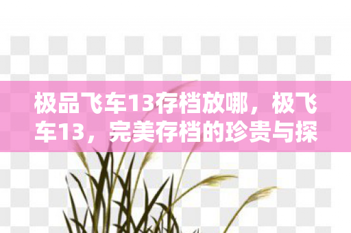 极品飞车13存档放哪，极飞车13，完美存档的珍贵与探索