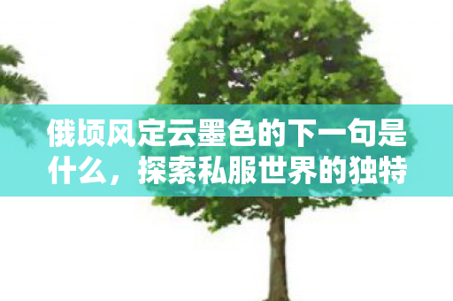 俄顷风定云墨色的下一句是什么，探索私服世界的独特魅力与玩家心声