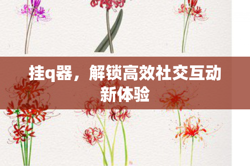 挂q器，解锁高效社交互动新体验
