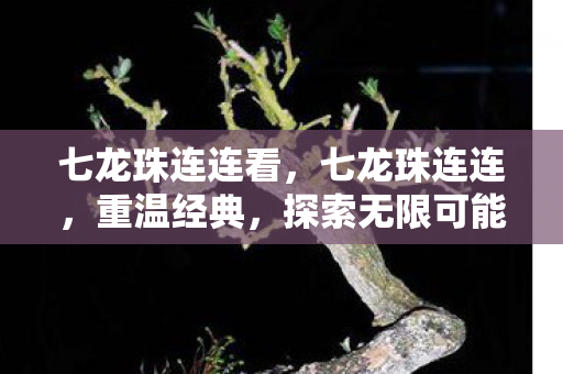 七龙珠连连看，七龙珠连连，重温经典，探索无限可能