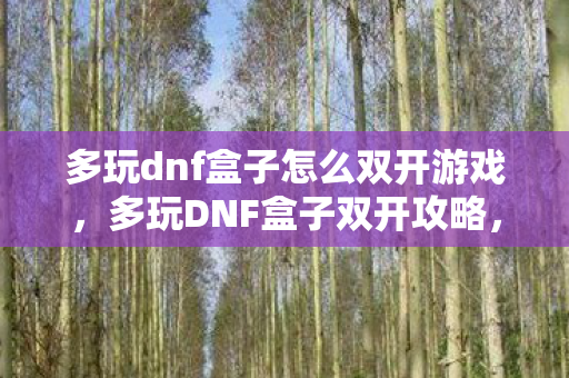 多玩dnf盒子怎么双开游戏，多玩DNF盒子双开攻略，轻松实现游戏多开的秘诀
