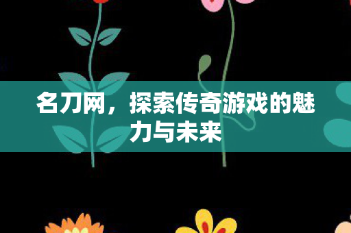 名刀网，探索传奇游戏的魅力与未来