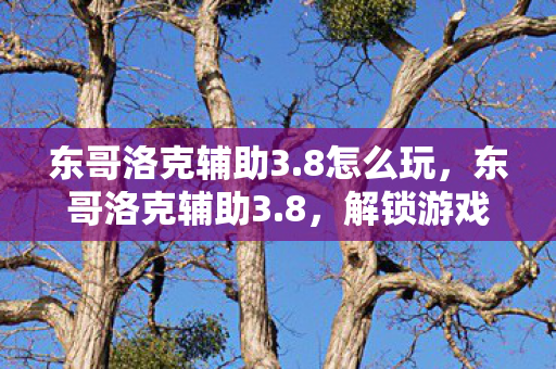 东哥洛克辅助3.8怎么玩，东哥洛克辅助3.8，解锁游戏新境界的必备神器