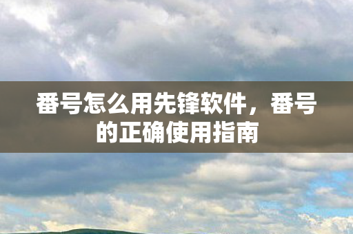 番号怎么用先锋软件，番号的正确使用指南