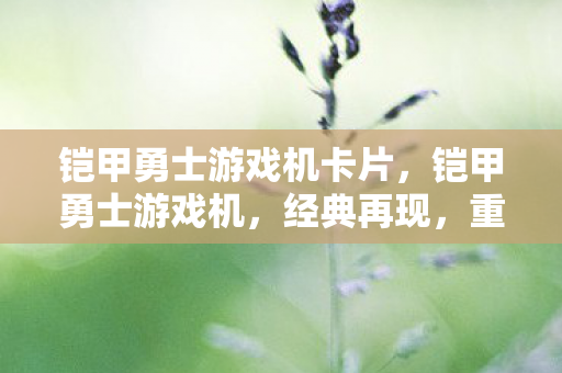 铠甲勇士游戏机卡片，铠甲勇士游戏机，经典再现，重温童年回忆