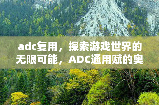 adc复用，探索游戏世界的无限可能，ADC通用赋的奥秘
