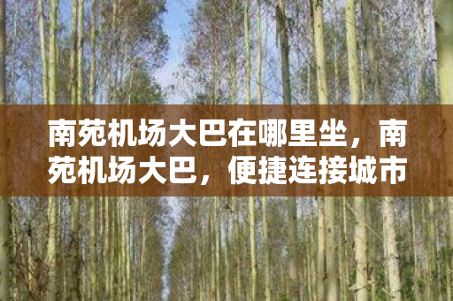 南苑机场大巴在哪里坐，南苑机场大巴，便捷连接城市与机场的交通枢纽