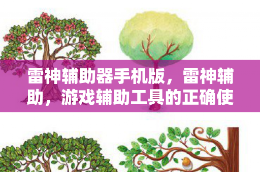 雷神辅助器手机版，雷神辅助，游戏辅助工具的正确使用与注意事项