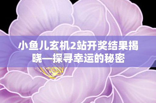 小鱼儿玄机2站开奖结果揭晓—探寻幸运的秘密