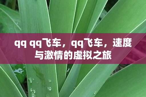 qq qq飞车，qq飞车，速度与激情的虚拟之旅