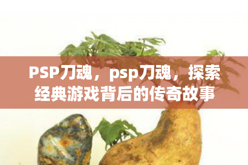 PSP刀魂，psp刀魂，探索经典游戏背后的传奇故事