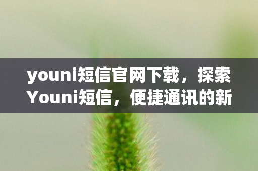 youni短信官网下载，探索Youni短信，便捷通讯的新选择