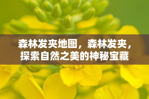 森林发夹地图，森林发夹，探索自然之美的神秘宝藏