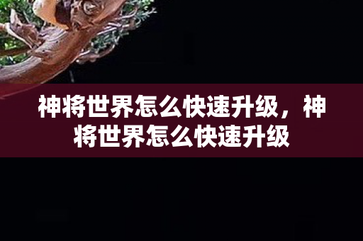 神将世界怎么快速升级，神将世界怎么快速升级