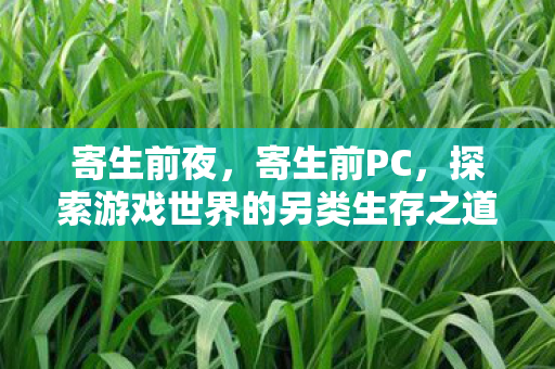 寄生前夜，寄生前PC，探索游戏世界的另类生存之道