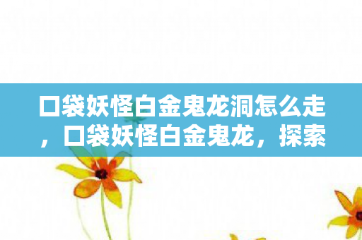 口袋妖怪白金鬼龙洞怎么走，口袋妖怪白金鬼龙，探索未知世界的奇妙旅程