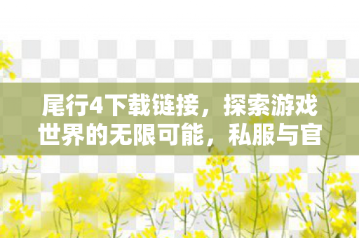 尾行4下载链接，探索游戏世界的无限可能，私服与官方服务器的独特魅力