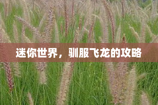 迷你世界，驯服飞龙的攻略