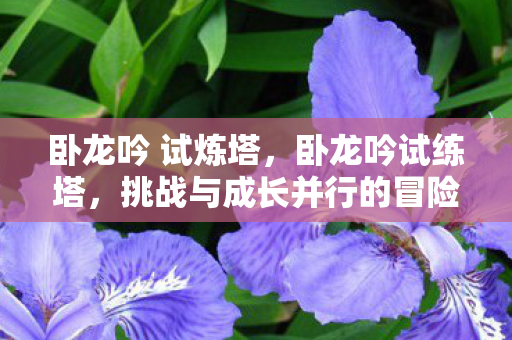 卧龙吟 试炼塔，卧龙吟试练塔，挑战与成长并行的冒险之旅