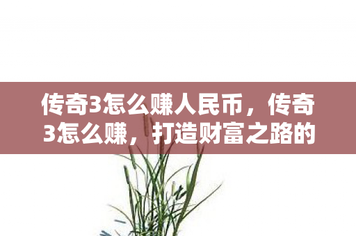 传奇3怎么赚人民币，传奇3怎么赚，打造财富之路的实用攻略